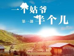 一個(gè)姑爺半個(gè)兒 第一部(全集)