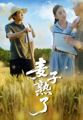 麥子熟了(全集)