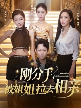 剛分手，被姐姐拉去相親(全集)