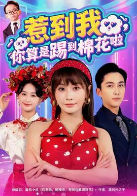 惹到我，你算是踢到棉花啦(全集)