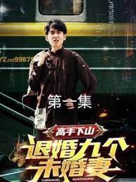 高手下山，退婚九個未婚妻(全集)