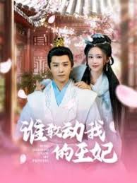 誰(shuí)敢動(dòng)我的王妃(全集)