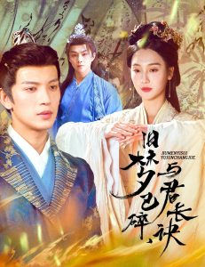 舊夢(mèng)已碎，與君長(zhǎng)訣＆終是深情錯(cuò)付君(全集)